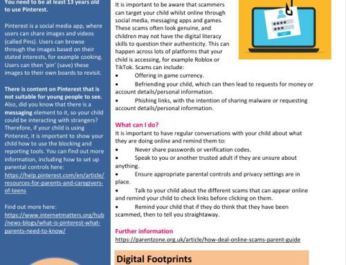 Online Safety Newsletter June – St Mary and St Peter’s
